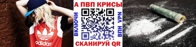 A PVP СК КРИС  hydra как войти  Каргат 