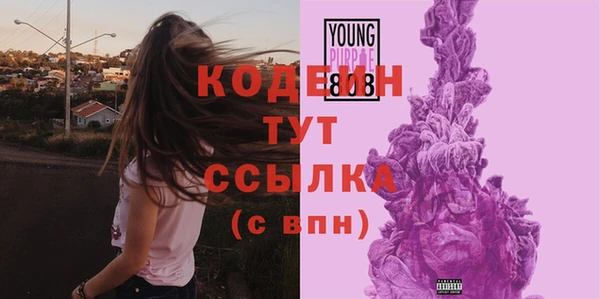 дурь Белая Холуница