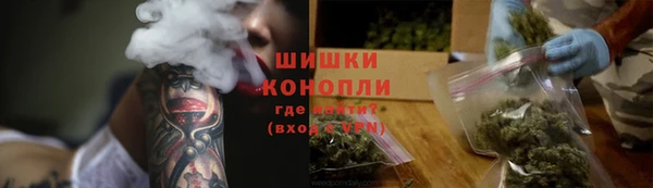 дурь Белая Холуница