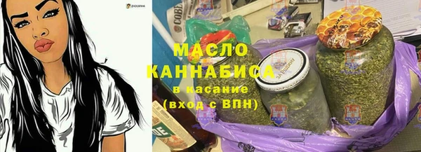 молекула духа Бежецк